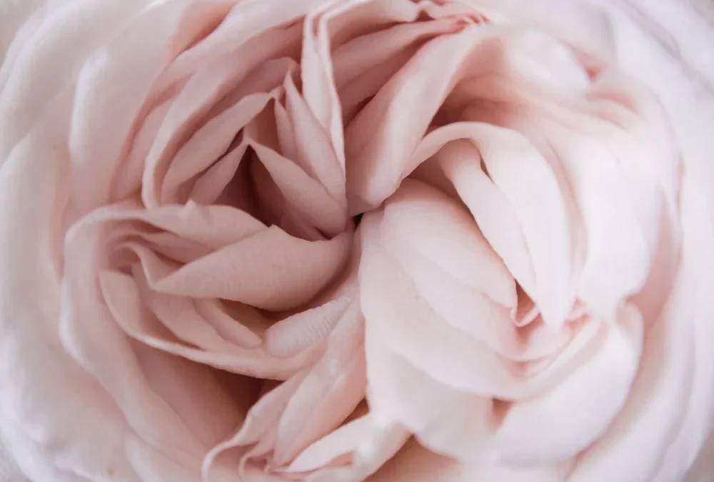 Hair UK | The No-Tox Botox